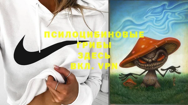 ALPHA PVP Беломорск