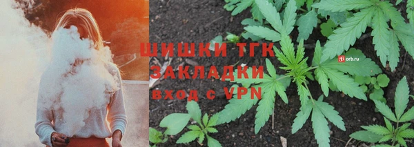 гашиш Богданович